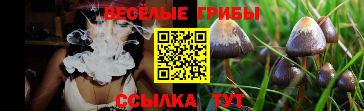 Псилоцибиновые грибы Psilocybe  Галлюциногенные грибы мухоморы  Вход с VPN  Серпухов 